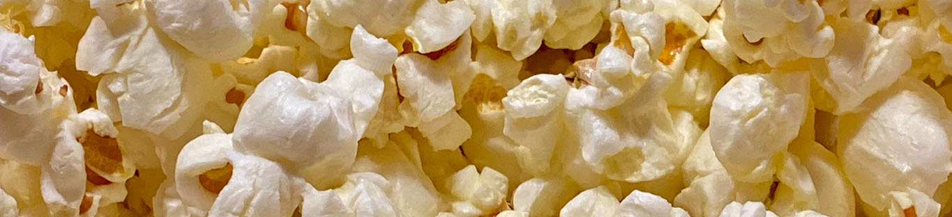 Popcorn Candy Floss Rental