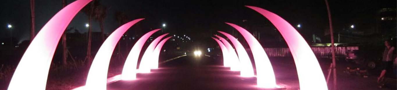 Lighted Horn